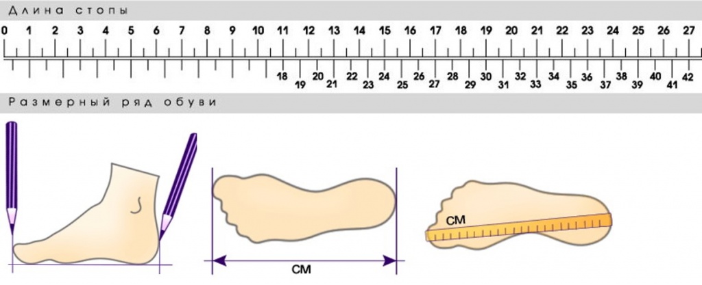 Длина стопы как измерить. Размерная линейка стелек Orto. Измерение размера стопы. Измерить размер стопы. Линейка размеров ноги.